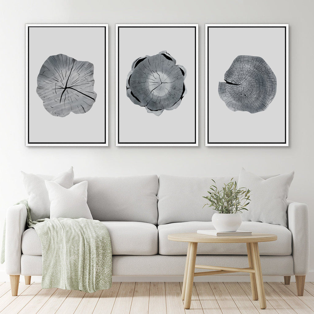 Framed Canvas Wall Art Set of 3 Wood Tree Rings Illustrations Prints Minimalist Modern Wall Art Neutral Decor