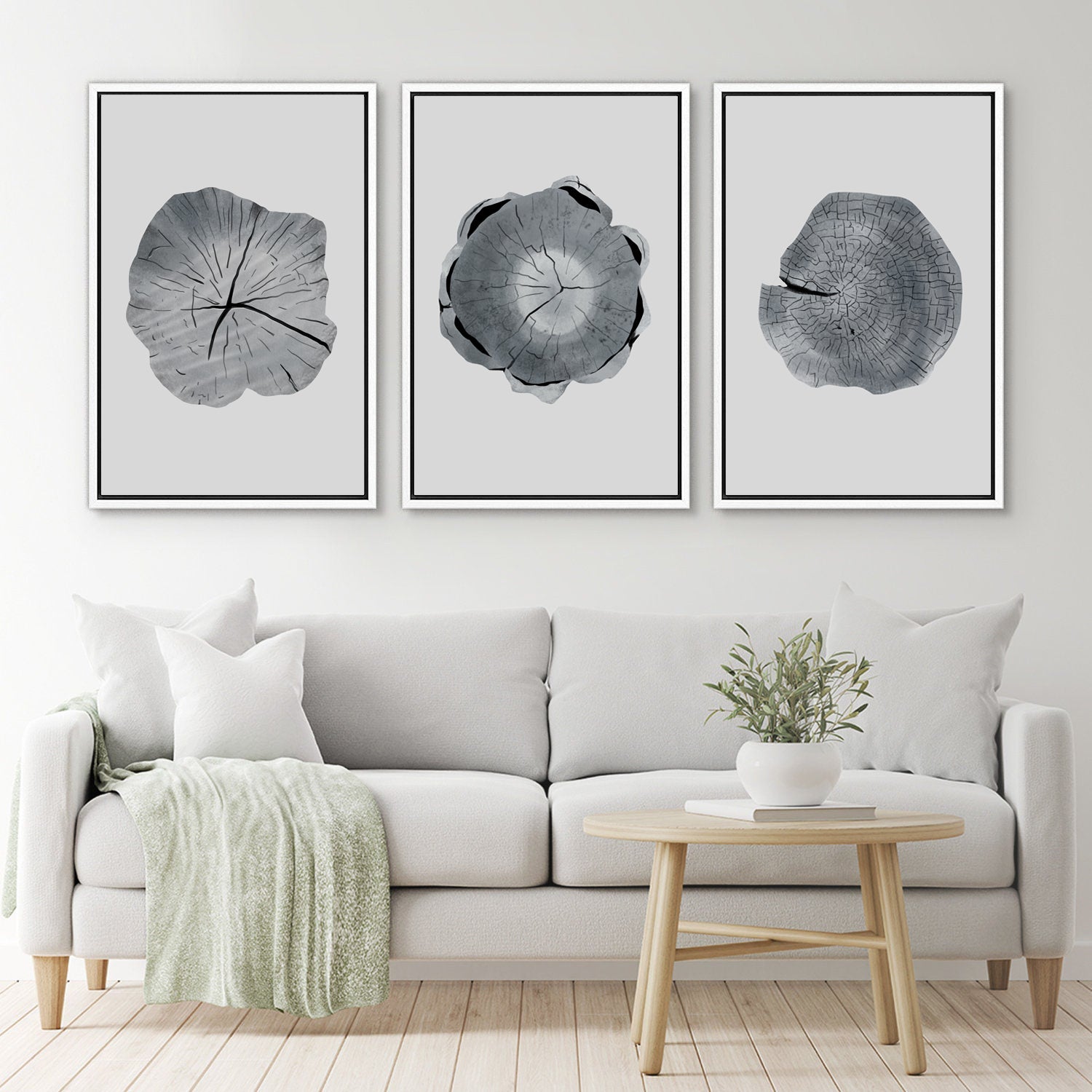 Framed Canvas Wall Art Set of 3 Wood Tree Rings Illustrations Prints Minimalist Modern Wall Art Neutral Decor