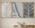 Framed Canvas Print Wall Art Black and White Tropical Palm Leaf Nature Illustrations Modern Art for Living Room
