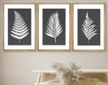 Framed Canvas Print Wall Art Set of 3 Black and White Leaves Botanical Illustrations Minimalist Art Modern Farmhouse Wall Decor