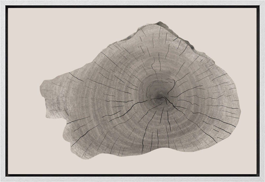 Framed Canvas Print Wall Art Wood Tree Rings Illustrations Minimalist Modern Art Neutral Boho Decor