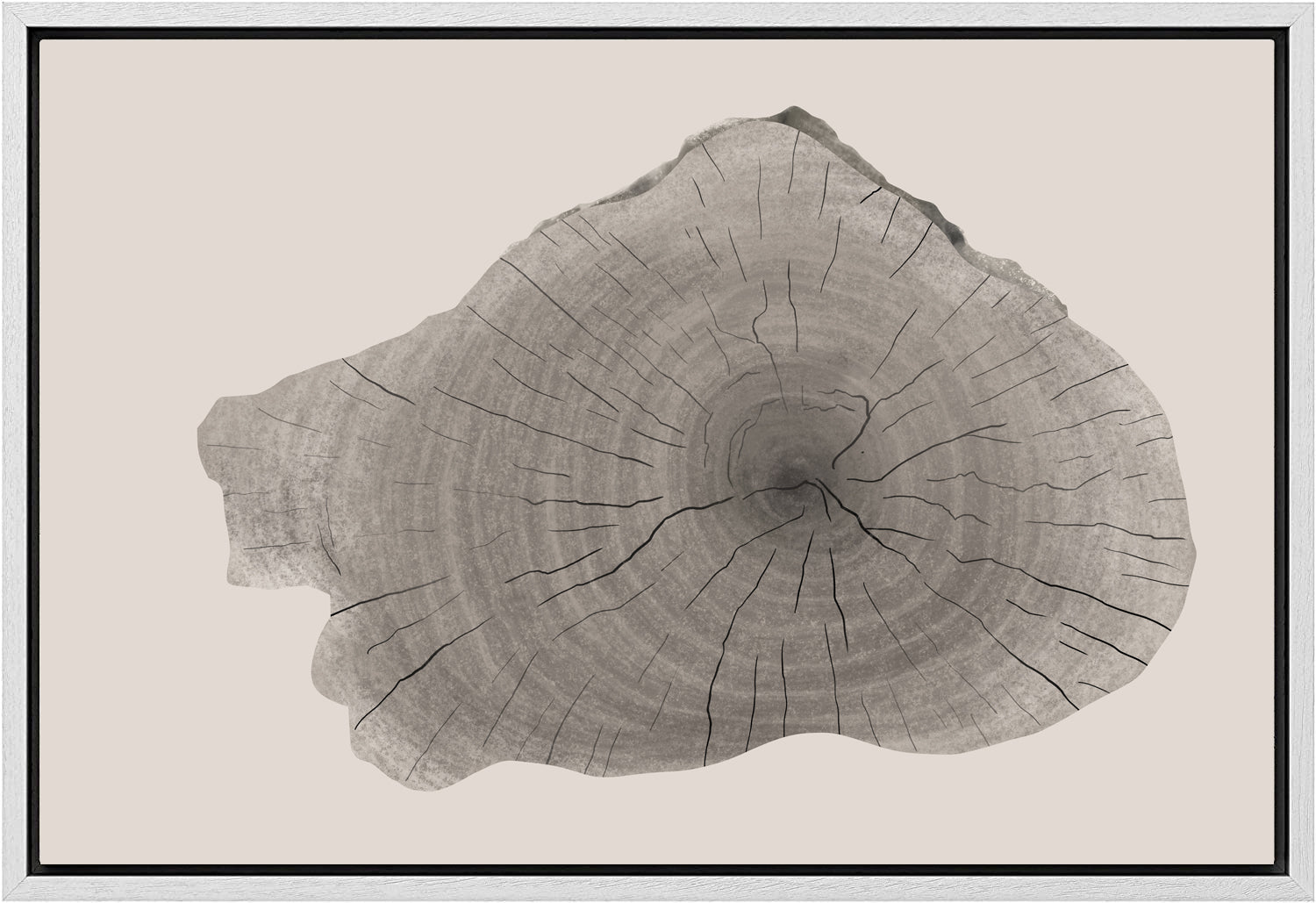Framed Canvas Print Wall Art Wood Tree Rings Illustrations Minimalist Modern Art Neutral Boho Decor