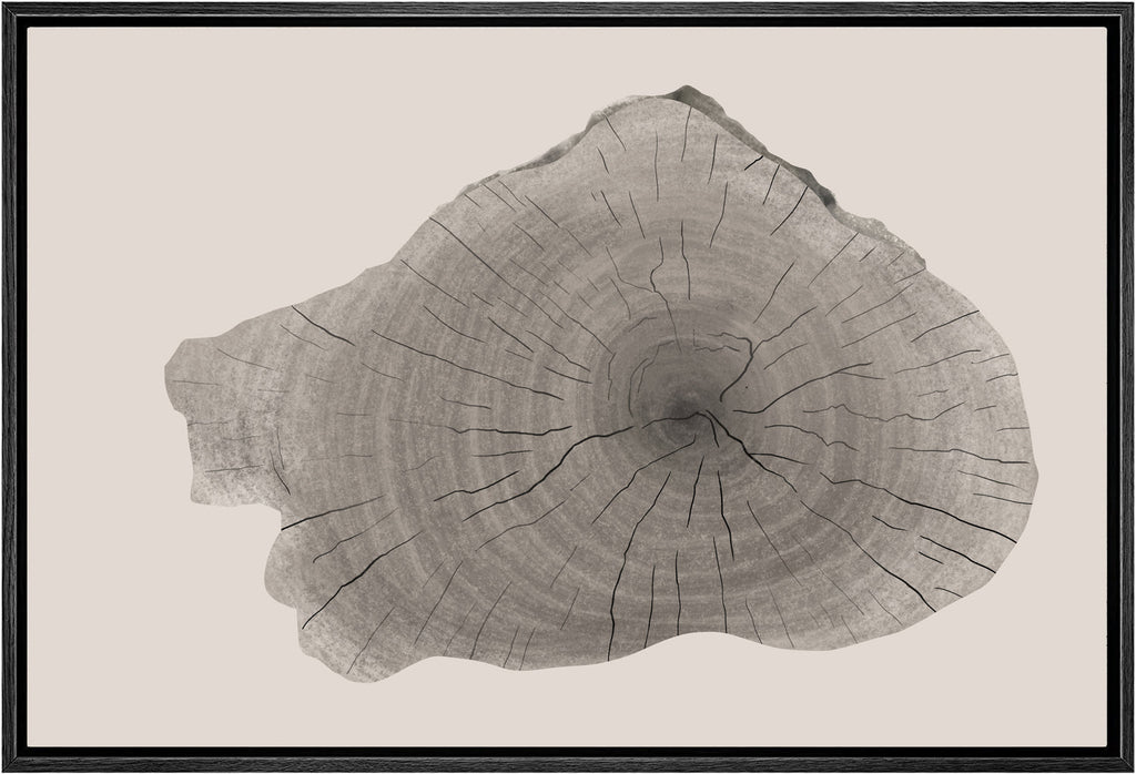 Framed Canvas Print Wall Art Wood Tree Rings Illustrations Minimalist Modern Art Neutral Boho Decor