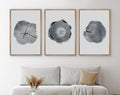 Framed Canvas Wall Art Set of 3 Wood Tree Rings Illustrations Prints Minimalist Modern Wall Art Neutral Decor