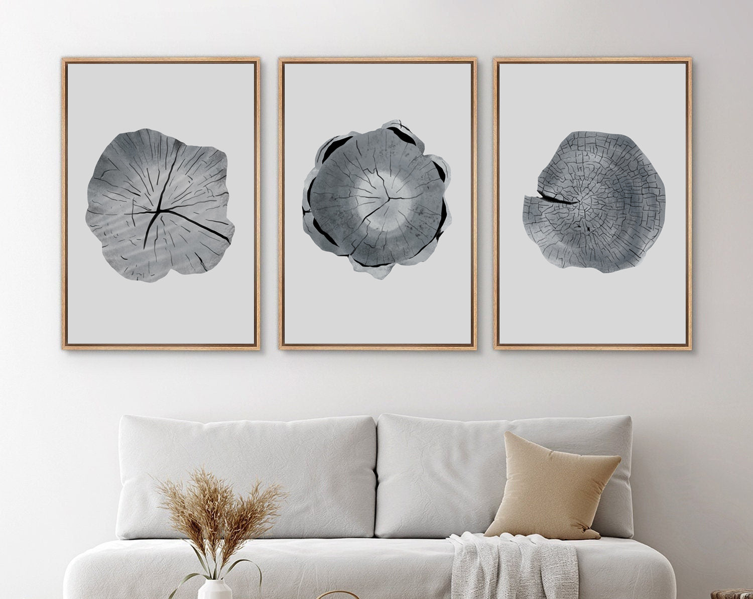 Framed Canvas Wall Art Set of 3 Wood Tree Rings Illustrations Prints Minimalist Modern Wall Art Neutral Decor
