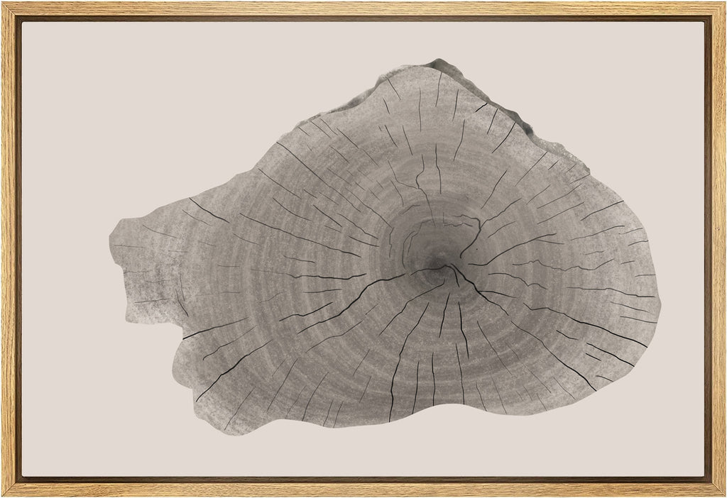 Framed Canvas Print Wall Art Wood Tree Rings Illustrations Minimalist Modern Art Neutral Boho Decor