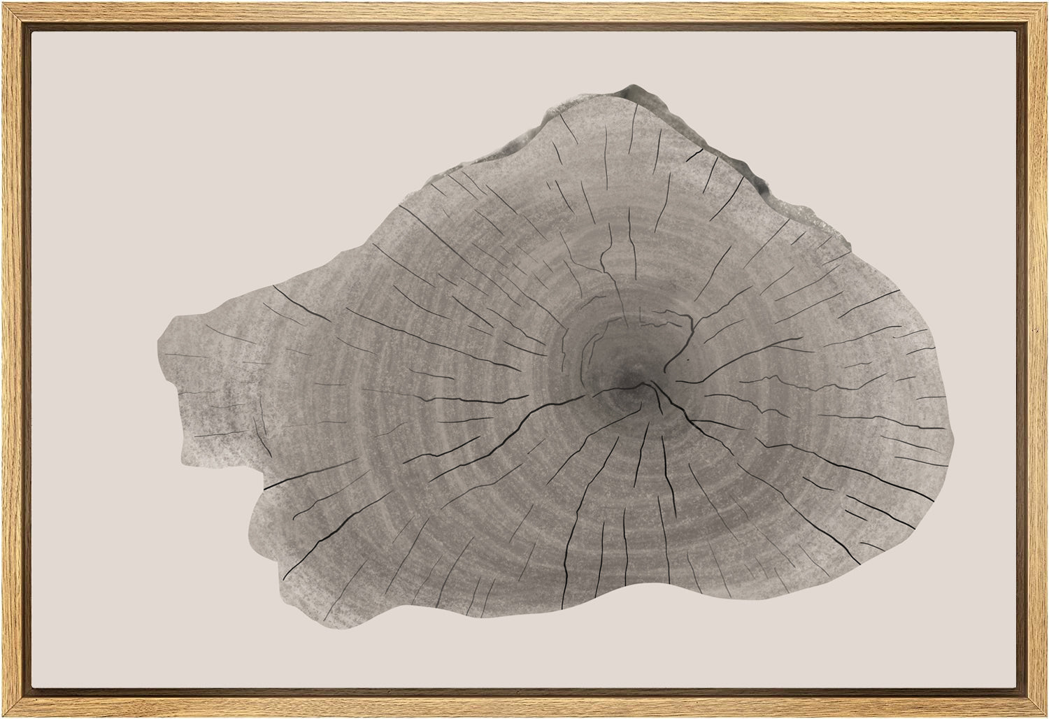 Framed Canvas Print Wall Art Wood Tree Rings Illustrations Minimalist Modern Art Neutral Boho Decor