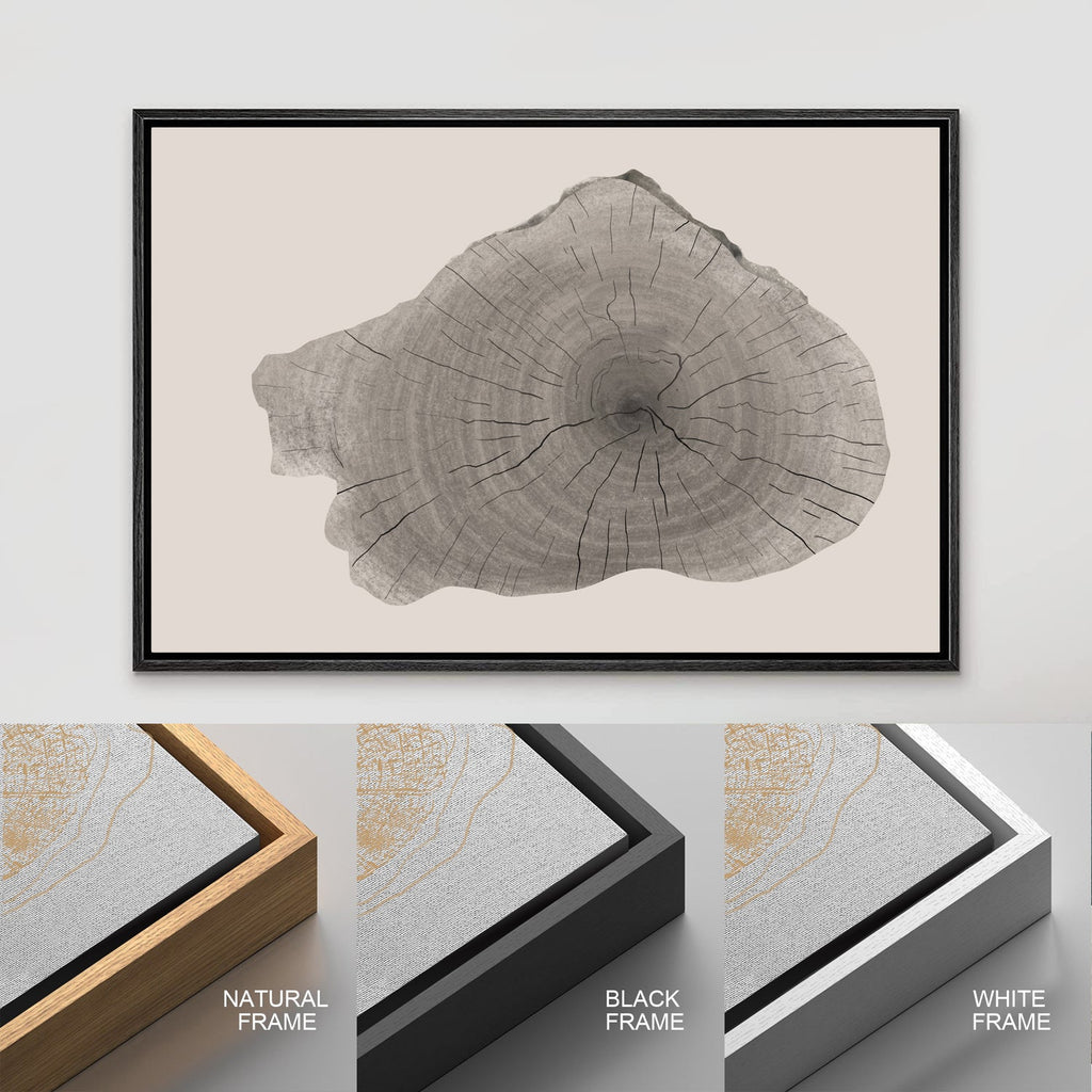 Framed Canvas Print Wall Art Wood Tree Rings Illustrations Minimalist Modern Art Neutral Boho Decor