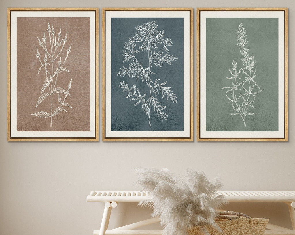 Framed Canvas Print Wall Art Set of 3 Wildflower Floral Botanical Illustrations Minimalist Art Neutral Modern Farmhouse Decor