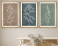 Framed Canvas Print Wall Art Set of 3 Wildflower Floral Botanical Illustrations Minimalist Art Neutral Modern Farmhouse Decor